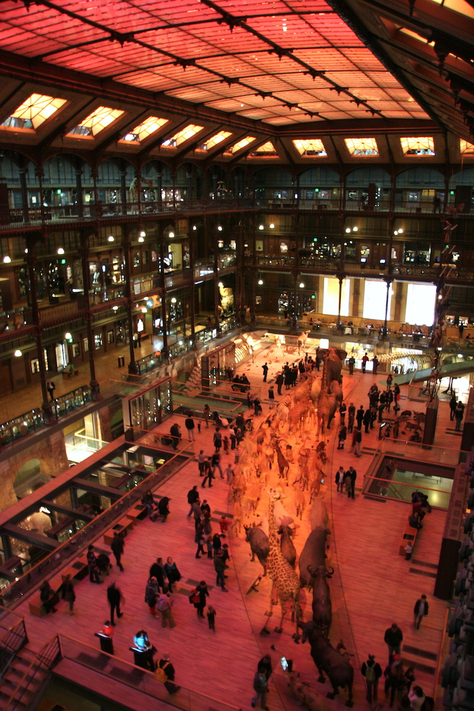 Le Grande Galerie de L'Evolution