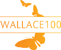 wallace 100 orange