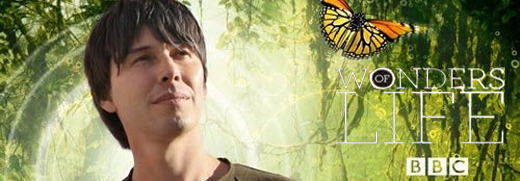 Wonders of life - cover