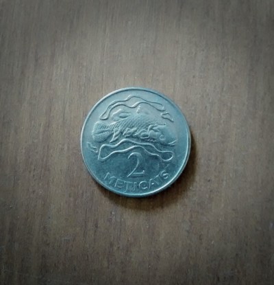 A Mozambican 2 Meticais coin