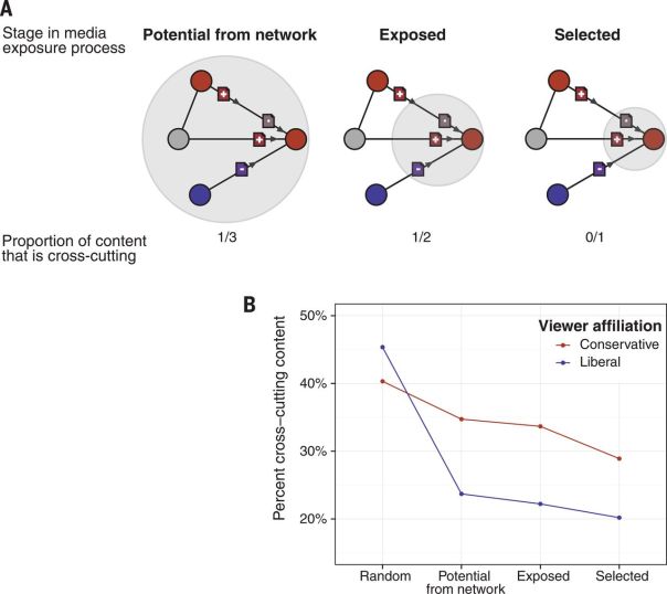 Figure 3 from the paper. The key graph is B - showing the distribution of cross-cutting content, explained in the text.